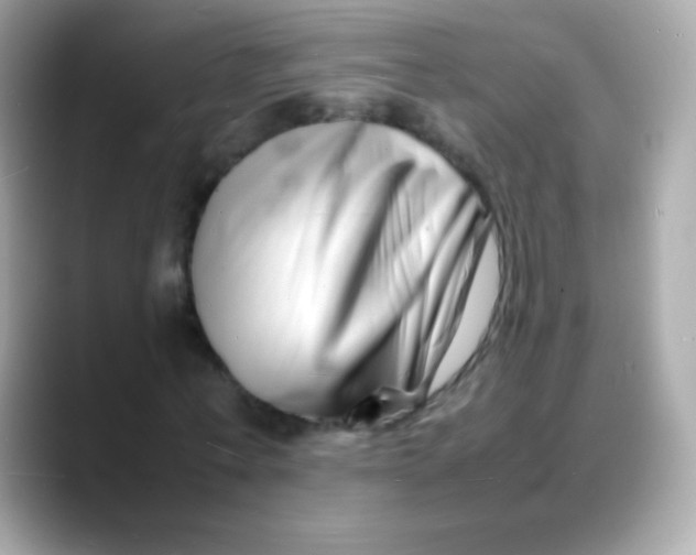 X0000088130771200706041948