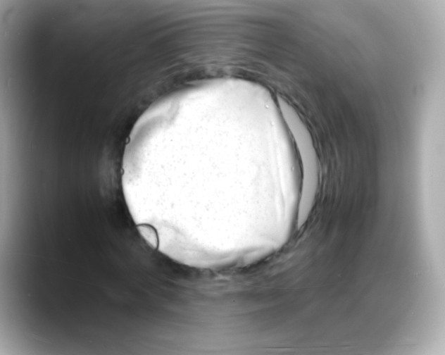 X0000088130772200706041948