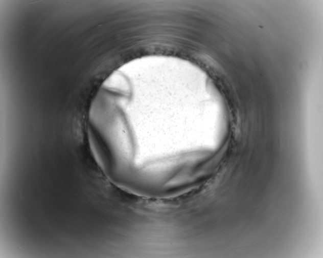 X0000088130774200706041948