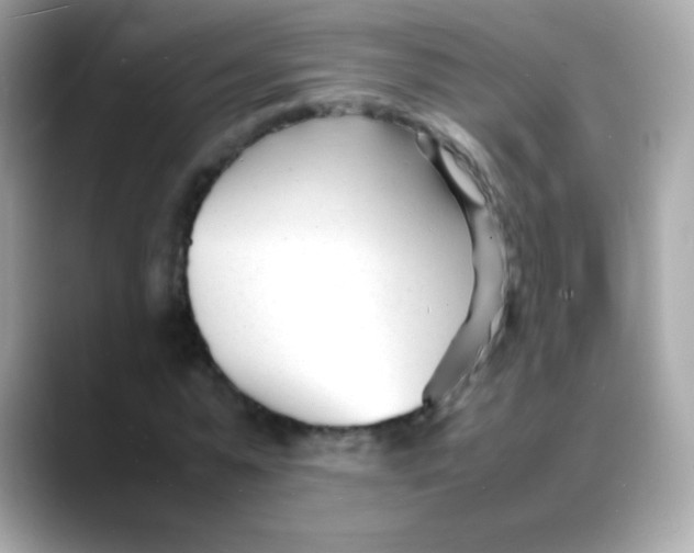 X0000088130775200706041948