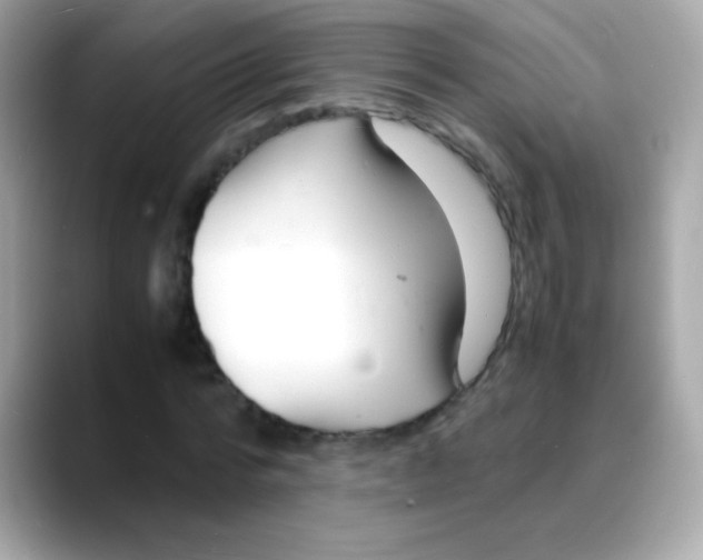 X0000088130776200706041948