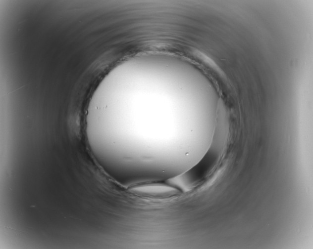 X0000088130777200706041948