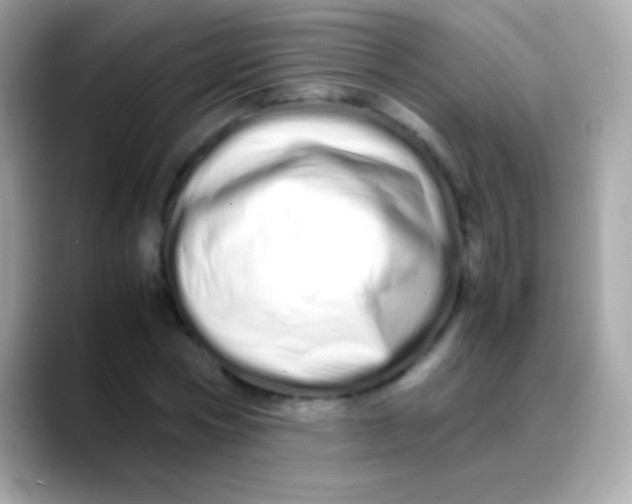 X0000088130778200706041948