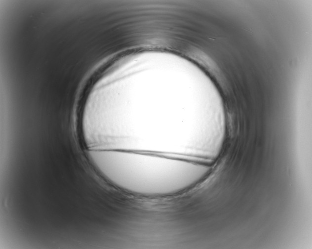 X0000088130780200706041948