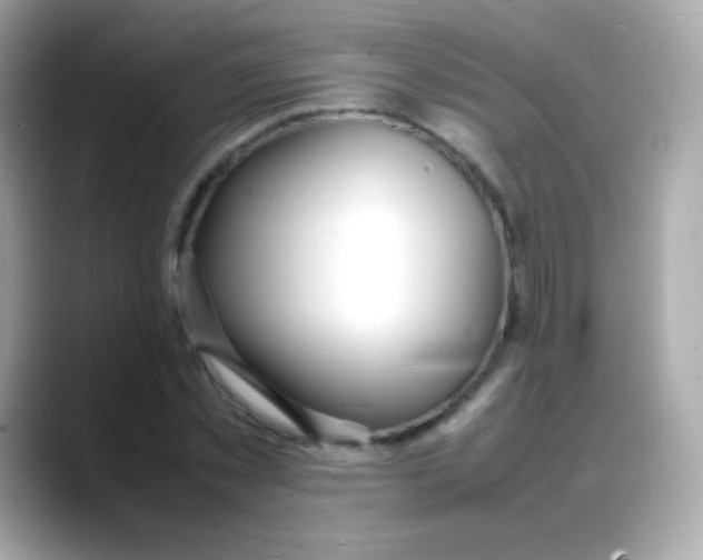 X0000088130781200706041948