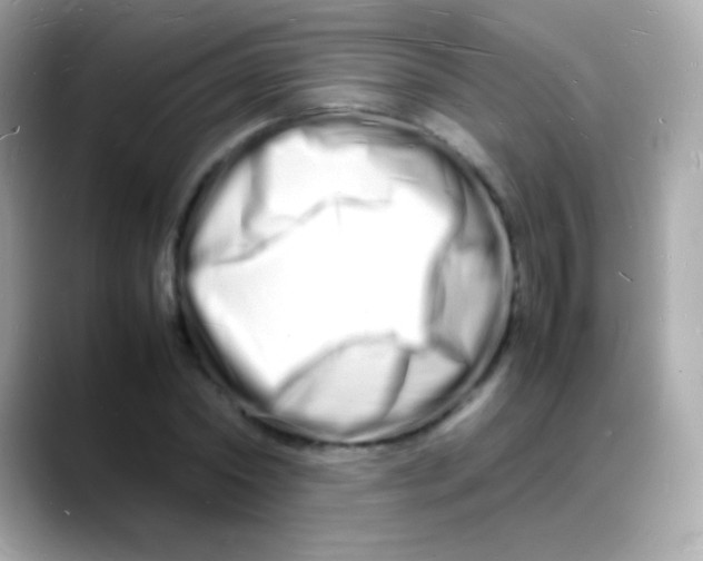 X0000088130782200706041947