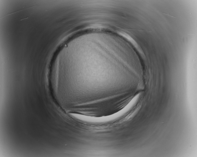 X0000088130783200706041947