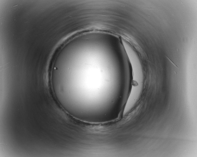 X0000088130784200706041947