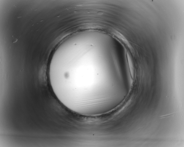 X0000088130786200706041947