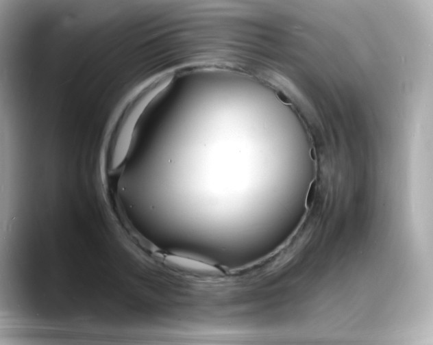 X0000088130788200706041947