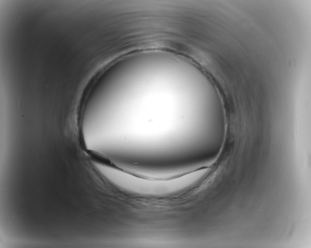 X0000088130789200706041947