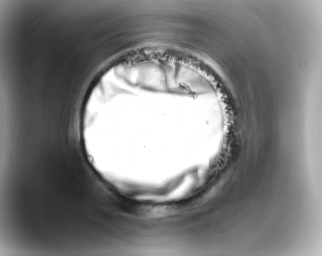 X0000088130791200706041947