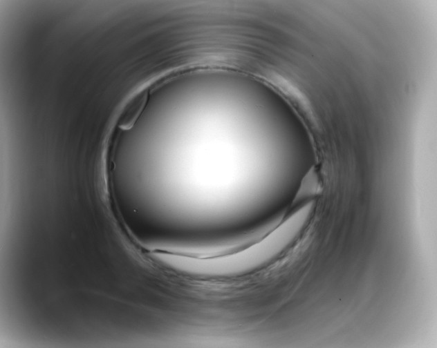 X0000088130792200706041947