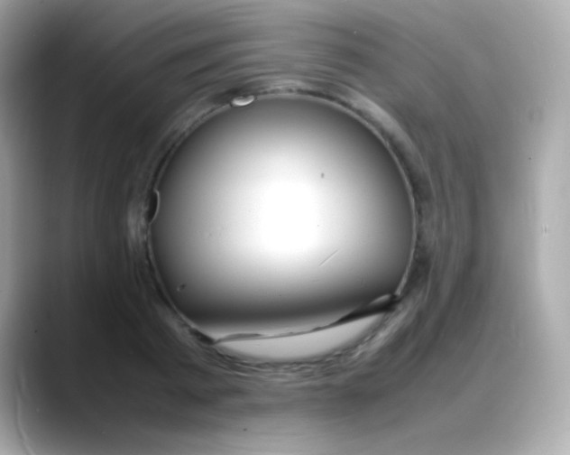 X0000088130793200706041947