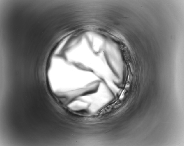 X0000088130795200706041947