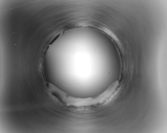 X0000088130801200706041947