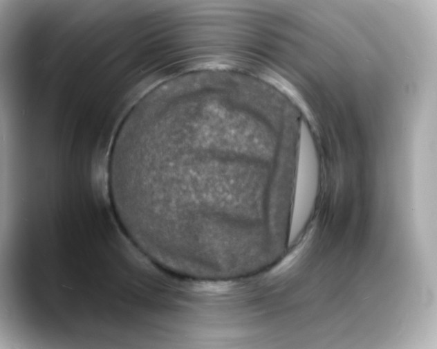 X0000088130802200706041947