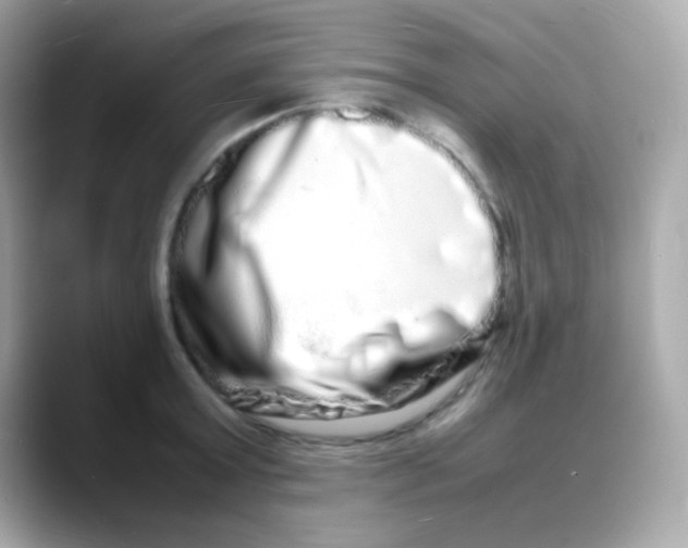 X0000088130803200706041947