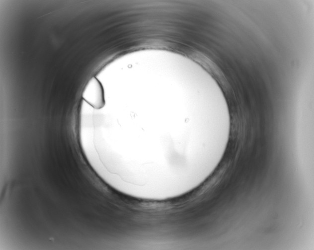 X0000088130804200706041947