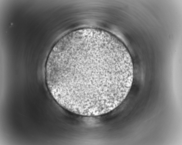 X0000088130807200706041947