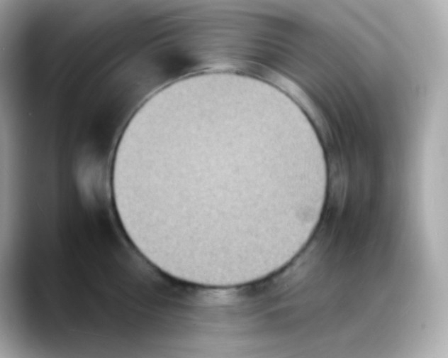 X0000088130810200706041947