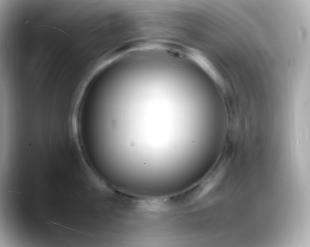 X0000088130813200706041947