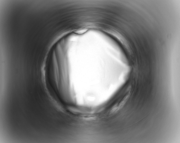 X0000088130814200706041947