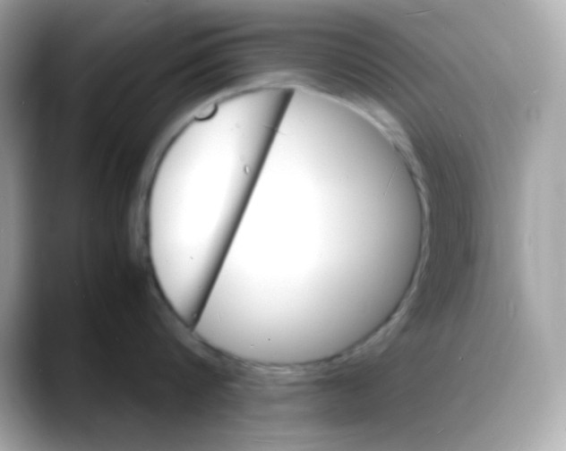 X0000088130816200706041947