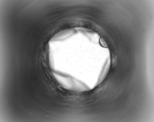 X0000088130819200706041946