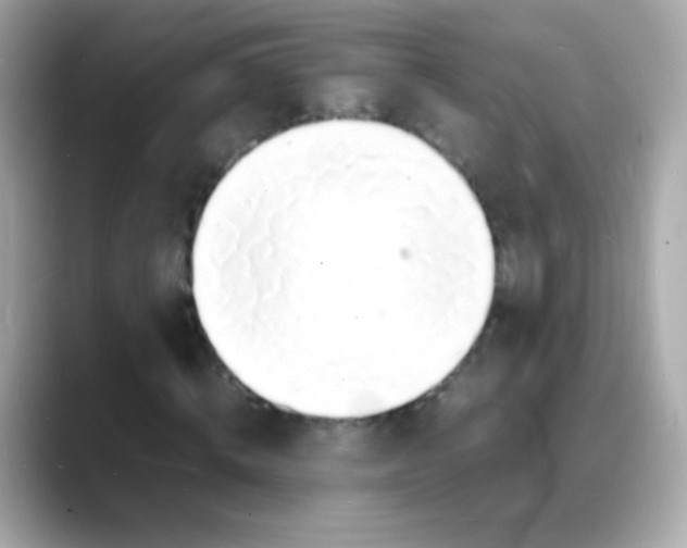 X0000088130820200706041946