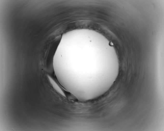 X0000088130821200706041946