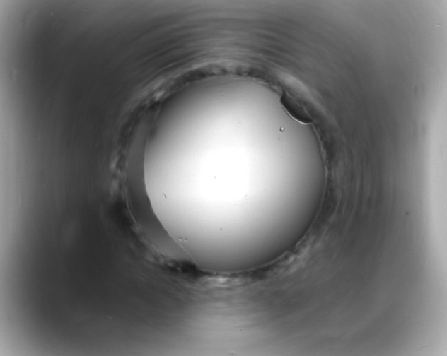 X0000088130822200706041946