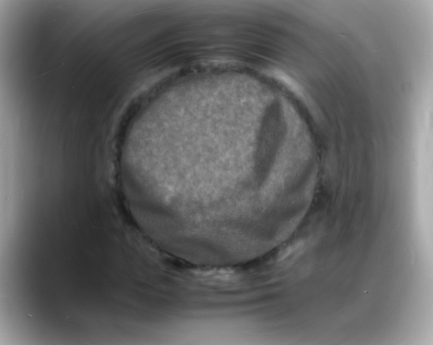 X0000088130823200706041946