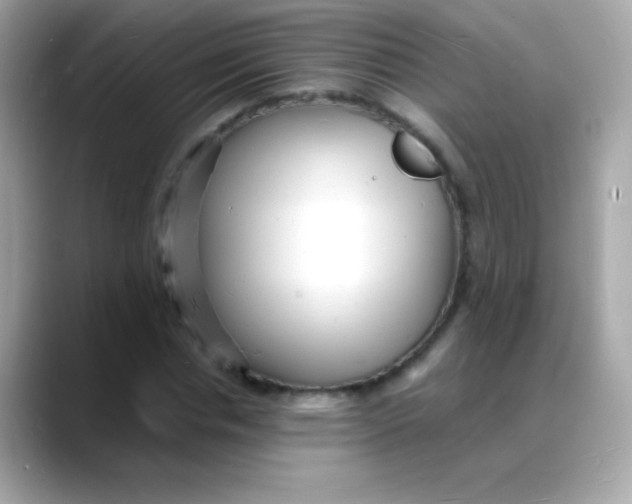 X0000088130826200706041947