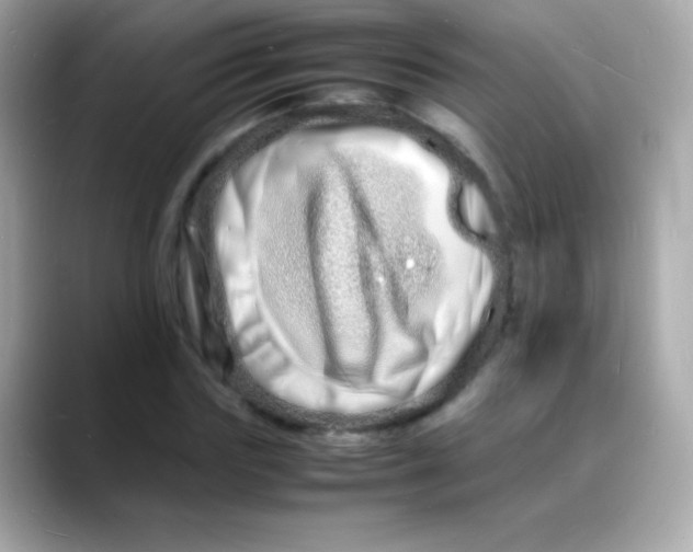 X0000088130827200706041947