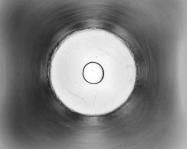 X0000088130828200706041947