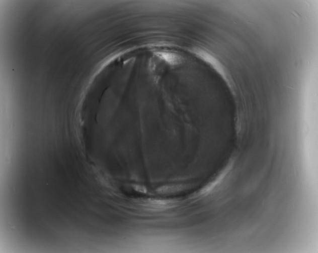 X0000088130829200706041947