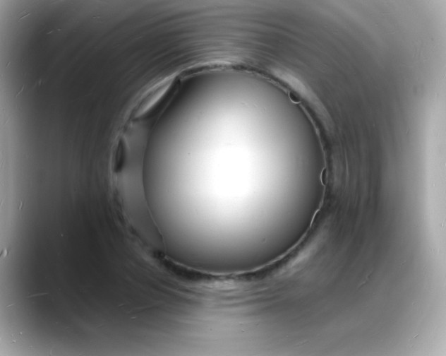 X0000088130834200706041947