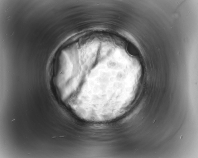 X0000088130835200706041947