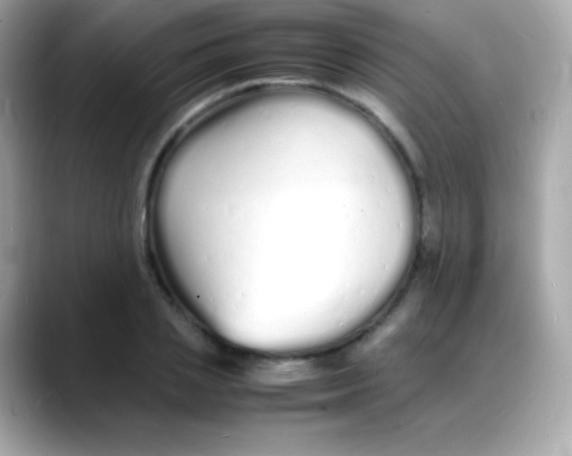 X0000088130837200706041947