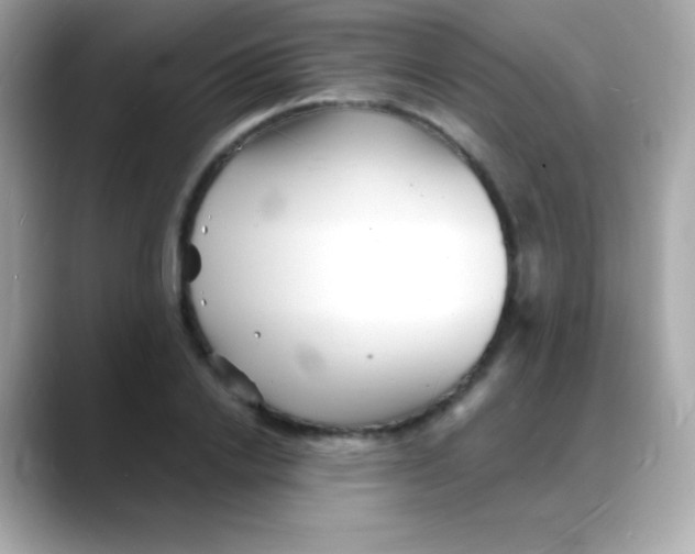 X0000088130838200706041947