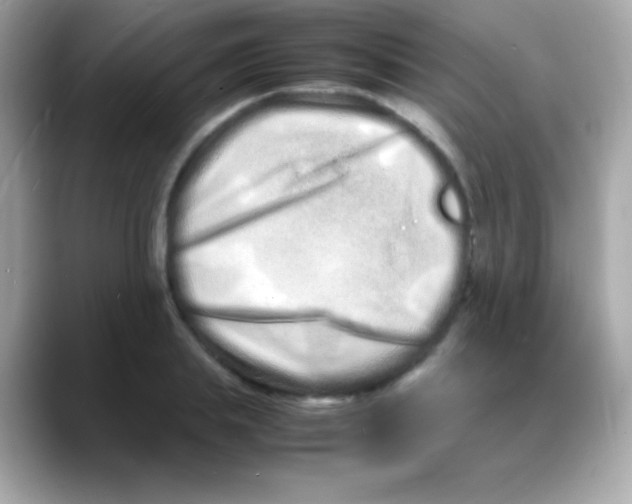 X0000088130839200706041947