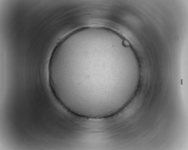 X0000088130840200706041947