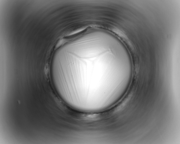 X0000088130841200706041947