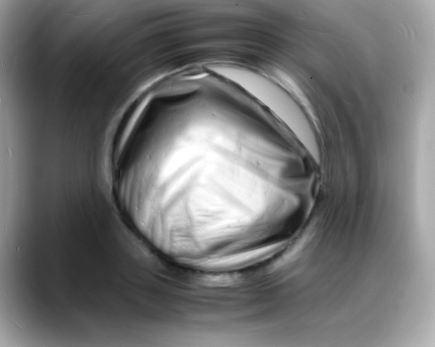 X0000088130843200706041947