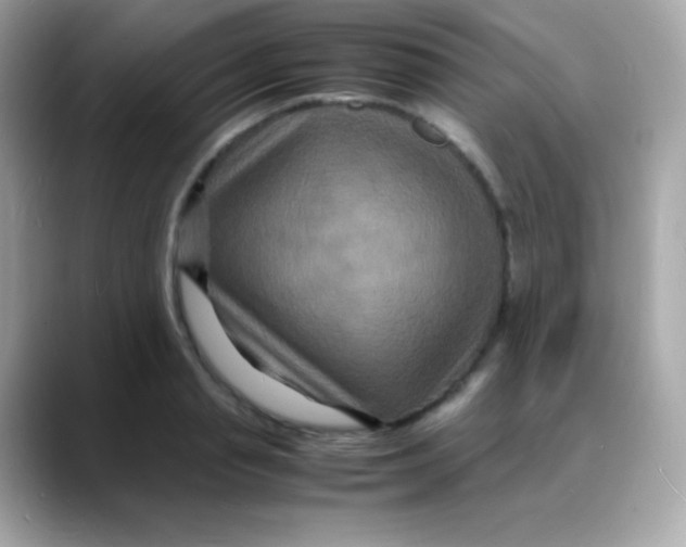 X0000088130845200706041947