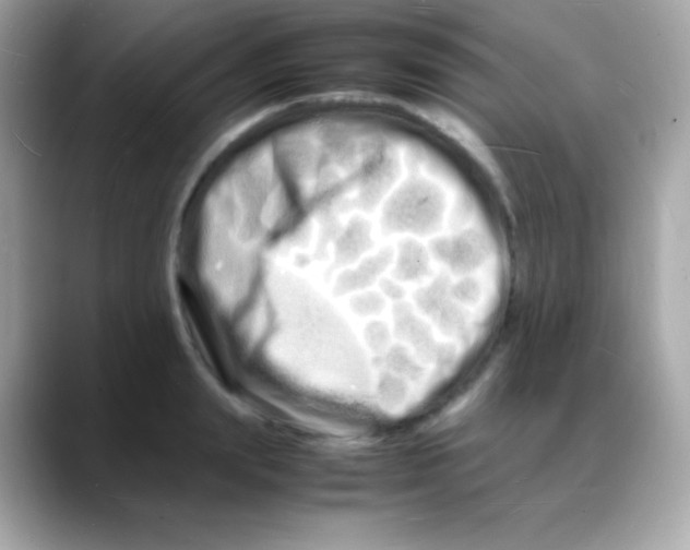 X0000088130847200706041947