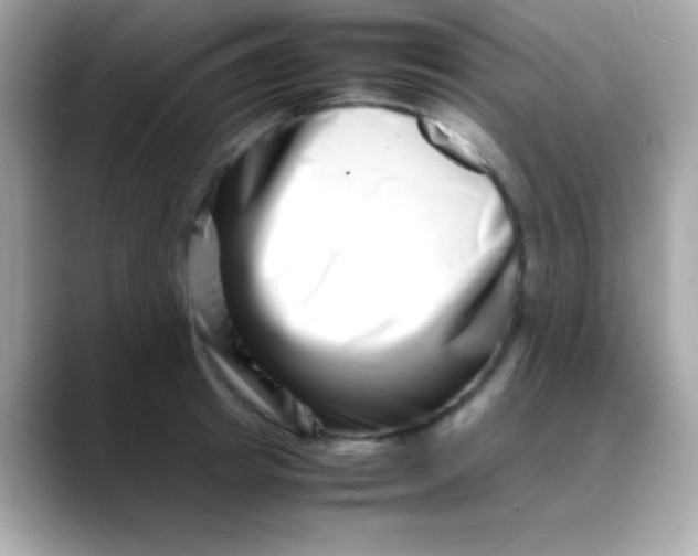 X0000088130849200706041947