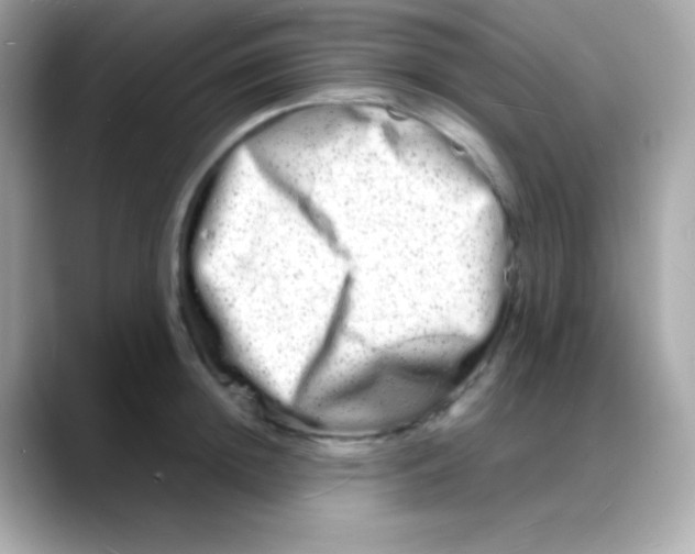 X0000088130852200706041947