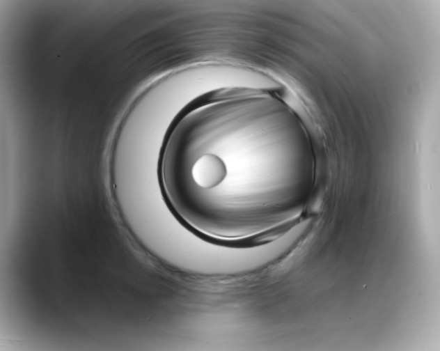 X0000088130854200706041947